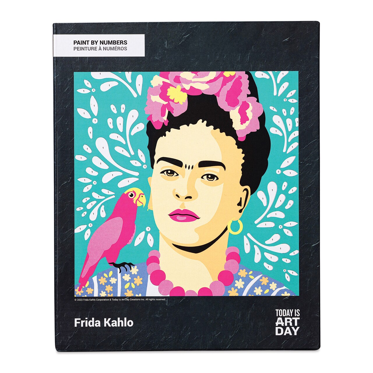 Today Is Art Day Famous Artworks Paint By Number Kit - Frida Kahlo